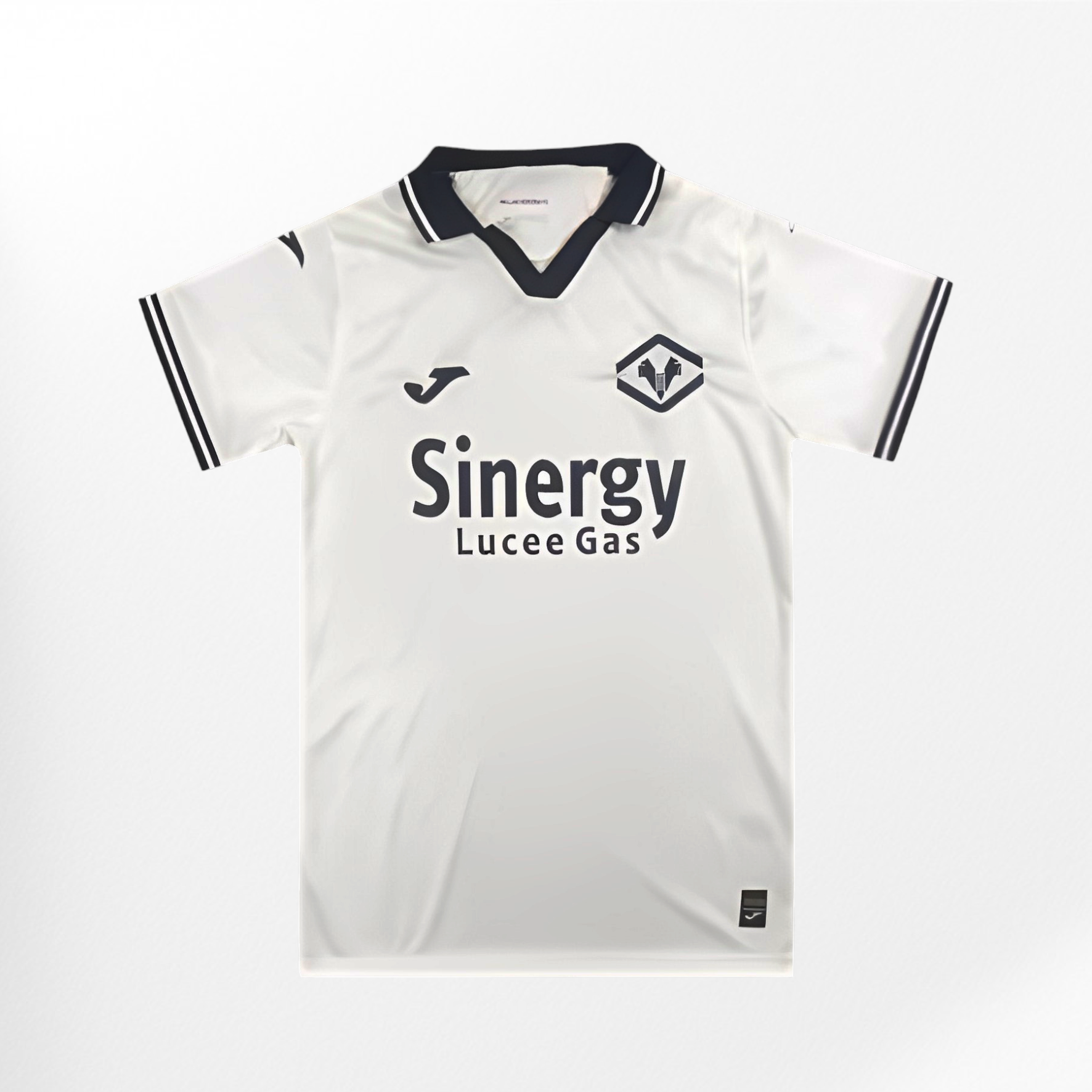 23/24 Hellas Verona Third Jersey
